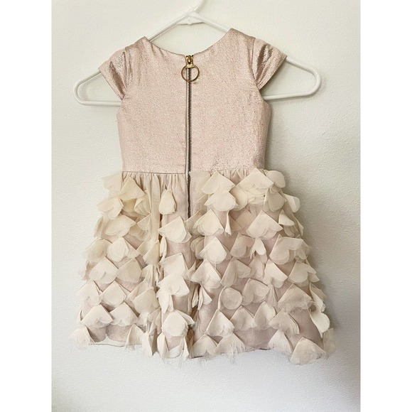 ZOE LTD Girl’s Fancy Shiny Ivory Pink Dress Size 4 “Feathers” Reg Price $350 - Picture 2 of 5